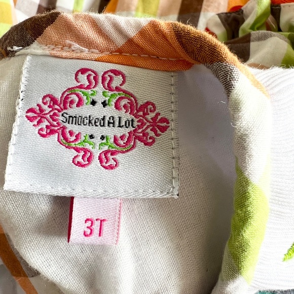 Fall Thanksgiving Pumpkin Turkey Checkered 3T Smocked Dress - Picture 8 of 10